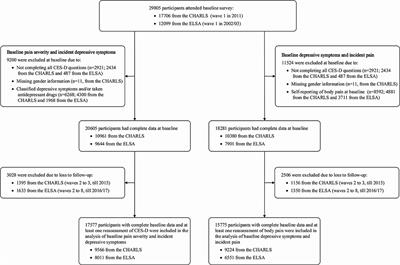 Bidirectional Relationship Between Body Pain and Depressive Symptoms: A Pooled Analysis of Two National Aging Cohort Studies